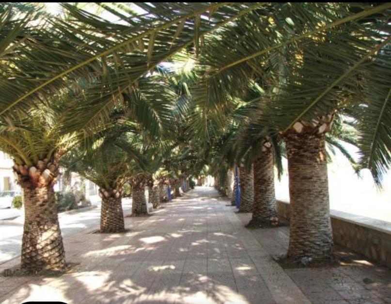 Vcc Home'S El Puerto de Mazarrón Εξωτερικό φωτογραφία